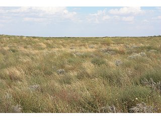 Property photo 111 - LAND AUCTION, 3255+/- Acres offered in 13 Tracts